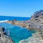 Palmeritas Mar Tenerife Sur Palm-mar