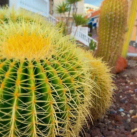 Palmeritas Mar Tenerife Sur Apartamento *