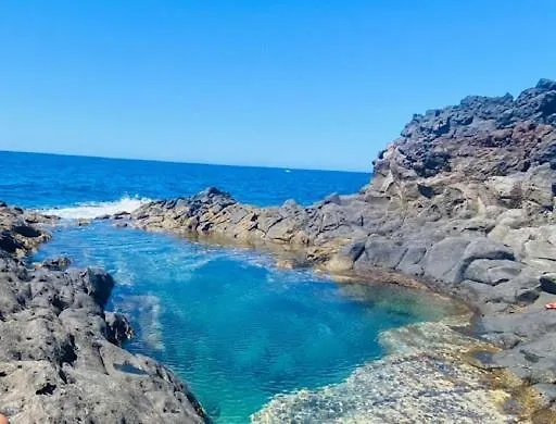 Palmeritas Mar Tenerife Sur Palm-mar